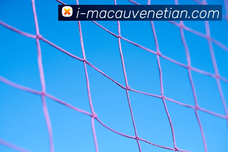 威尼斯人官网APP 封面图